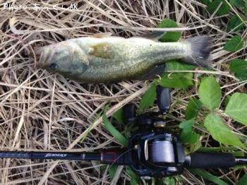 �֥�å��Х�