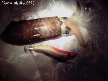 ¥¢¥ª¥ê±¨Â±