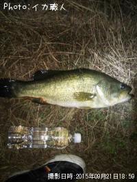 �֥�å��Х�