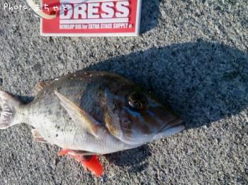 ���ޥ�ڥϥޥե��ե���