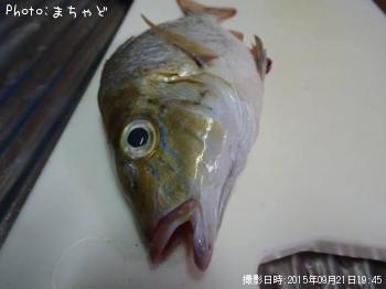 ���ޥ�ڥϥޥե��ե���