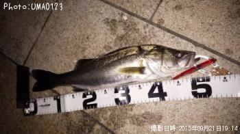 �����Х�