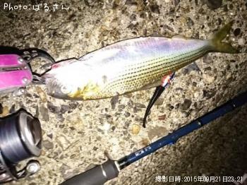 ���Υ���