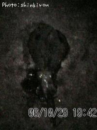 �����ꥤ��