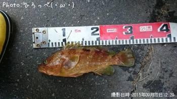 �����ϥ�