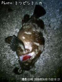 �����Υ���Х�