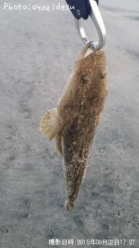 �ޥ���