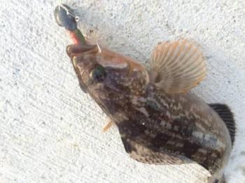 �����ʥ�