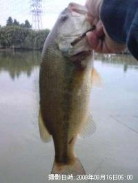 �֥�å��Х�