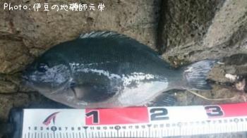 �����᥸��