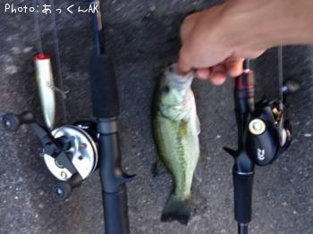 ¥Ö¥é¥Ã¥¯¥Ð¥¹