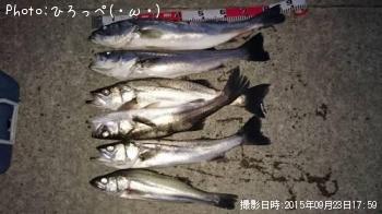 �����Х�