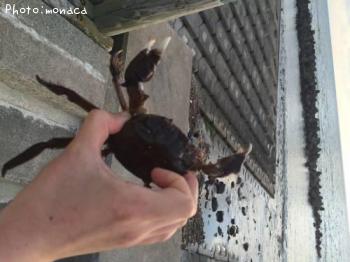 �⥯������