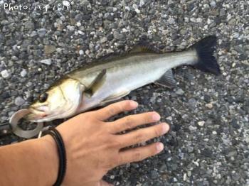 �����Х�