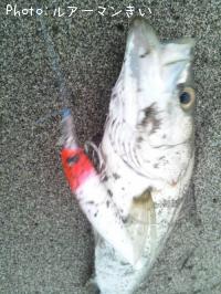 �����Х�