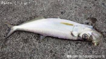 ͭ�������ݥ�