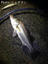 �����Х�