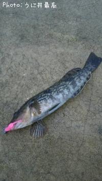 �����ʥ�