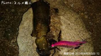 �����ꥤ��