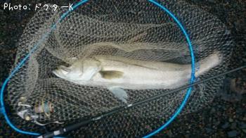 �����Х�