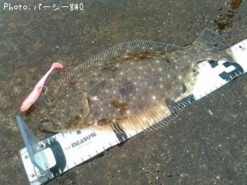 �ҥ��ʥ�����