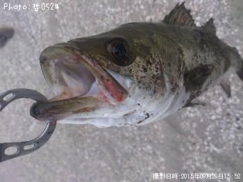 �����Х�