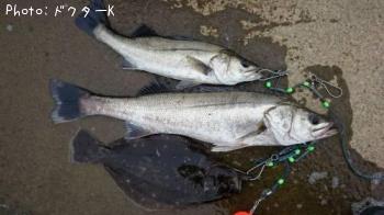 �����Х�