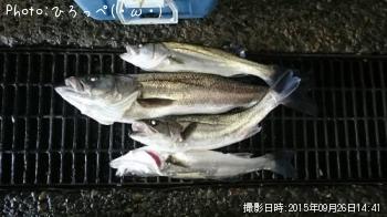 �����Х�