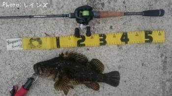 �����Υ���Х�