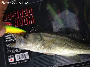 ¥Ö¥é¥Ã¥¯¥Ð¥¹