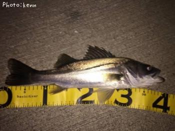 �����Х�