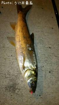 �ޥ륿������