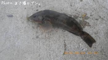 �����ʥ�