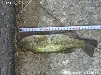 �֥�å��Х�