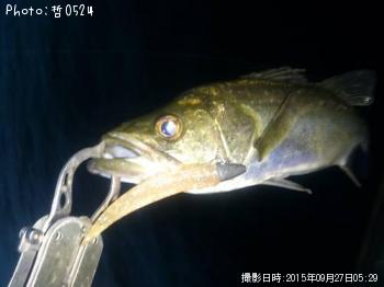 �����Х�