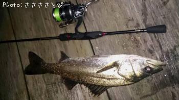 �����Х�