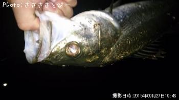 �����Х�