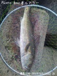 �����Х�