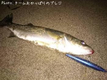 �����Х�