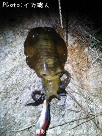 ¥¢¥ª¥ê¥¤¥«