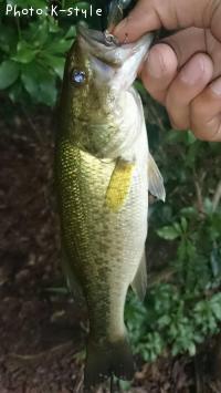 �֥�å��Х���