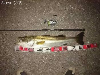 �����Х�