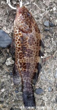 �������ϥ�