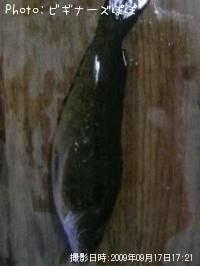 �����ʥ�