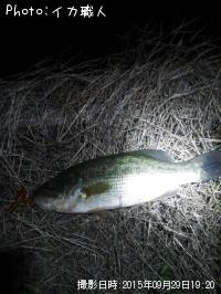 �֥�å��Х�