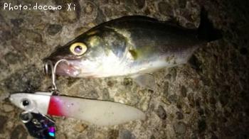 �����Х�