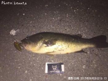 �֥�å��Х�