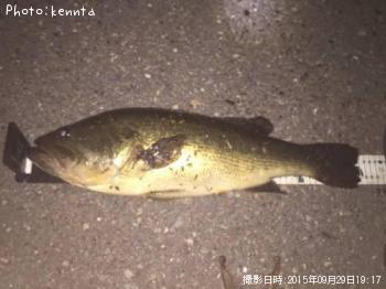 �֥�å��Х�