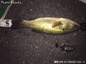 �֥�å��Х�