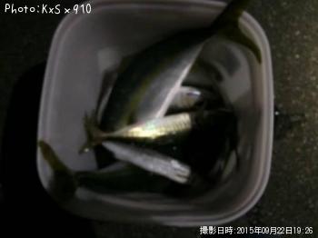 �䥺������